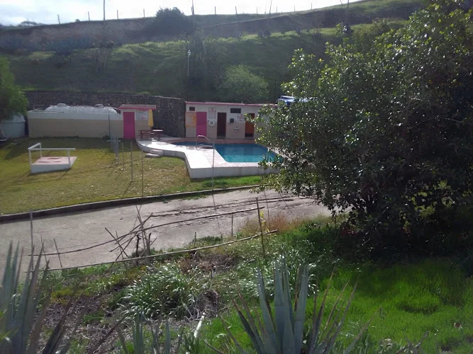 Motel Flamingos